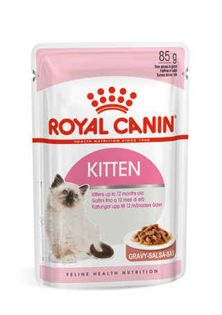 Kitten (in gravy)